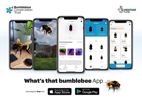 Bumblebee app on phones